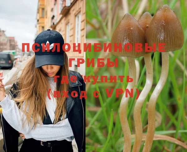 мяу мяу мука Баксан
