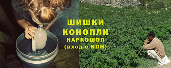 СК Белокуриха