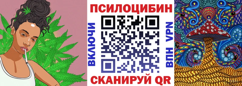 Псилоцибиновые грибы MAGIC MUSHROOMS  Медынь 
